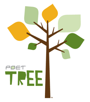 Image result for poetry tree