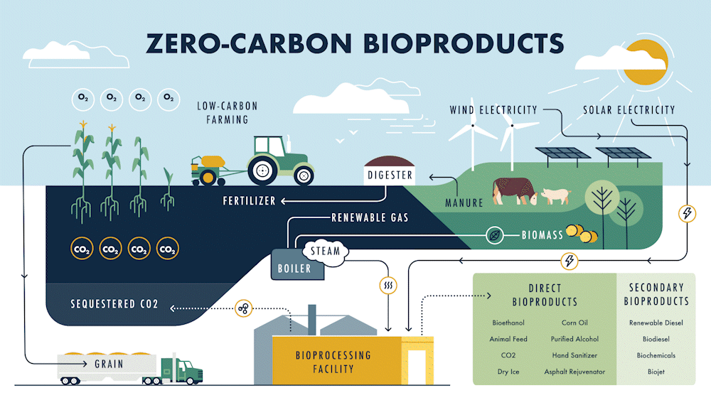 Zero Carbon Bioproducts Infographic