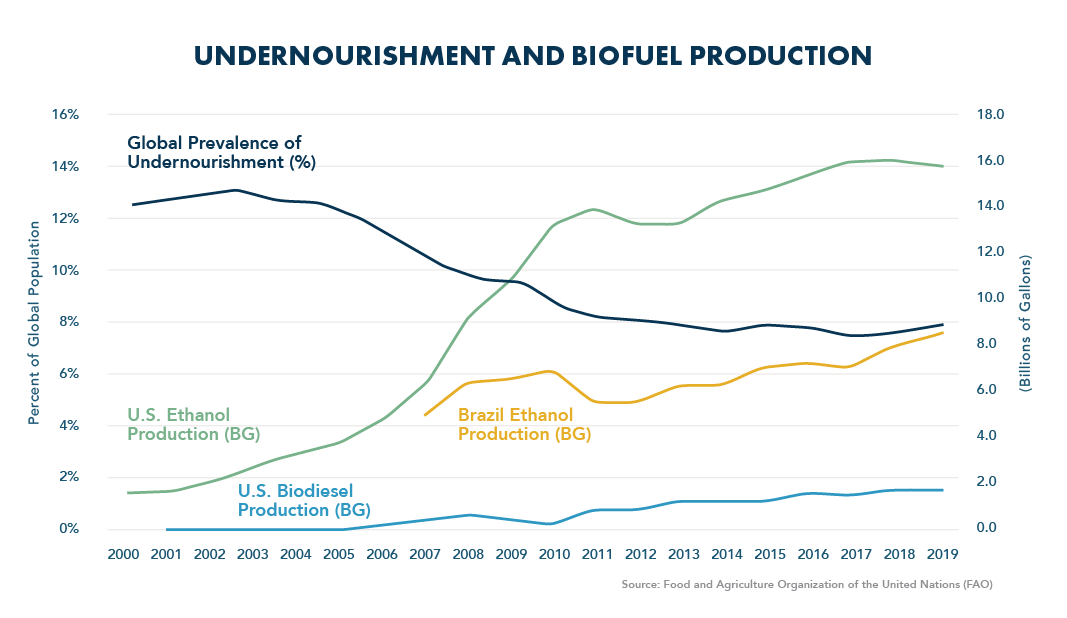 Undernourishment and Biofuels Production